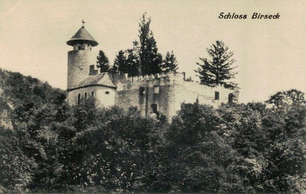Schloss Birseck Vorderseite