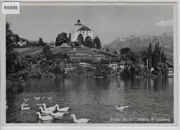 Schloss Werdenberg bei Buchs - Schwäne