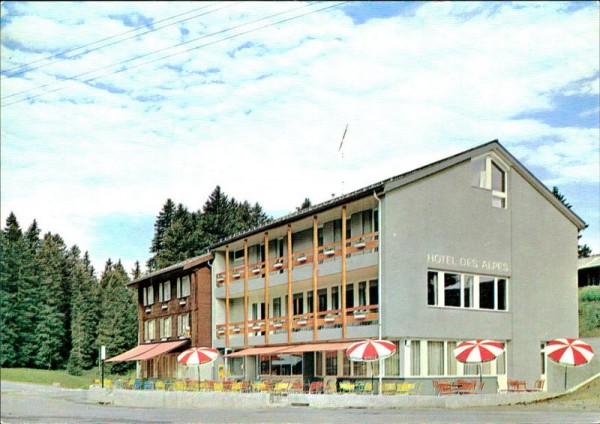 Jaunpass, Hotel des alpes Vorderseite