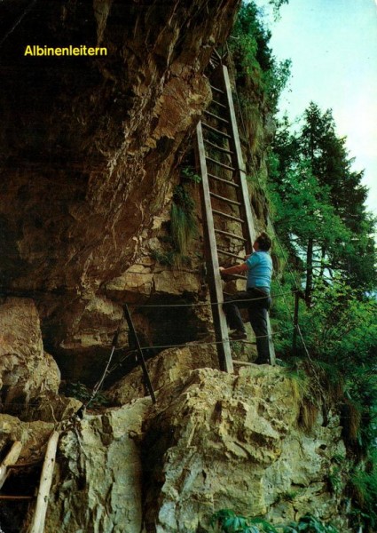Albinenleiter bei Leukerbad Vorderseite