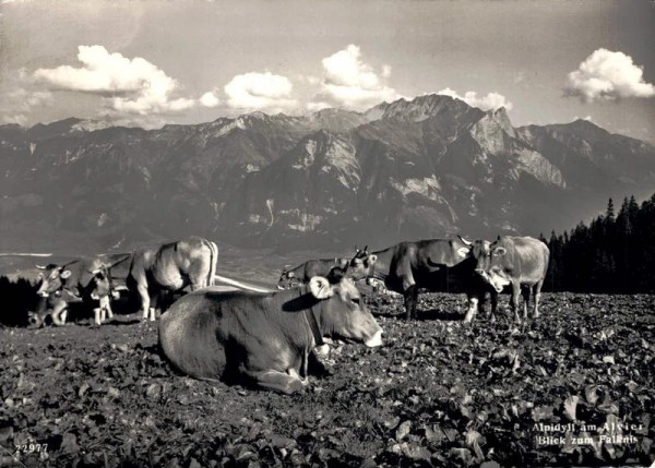Alpidyll am Alvier. Blick zum Falknis. 1934 Vorderseite