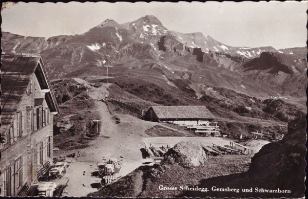 Grosse Scheidegg. Gemsberg und Schwarzhorn
